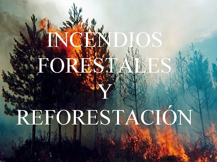 INCENDIOS FORESTALES Y REFORESTACIÓN 