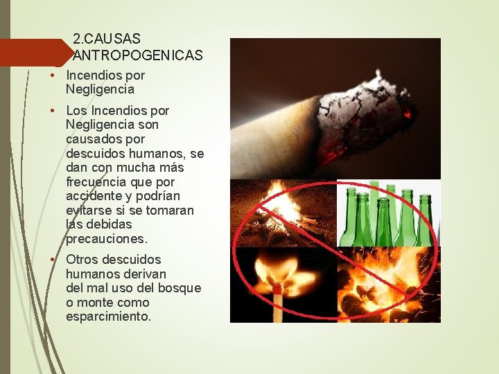 2. CAUSAS ANTROPOGENICAS • Incendios por Negligencia • Los Incendios por Negligencia son causados