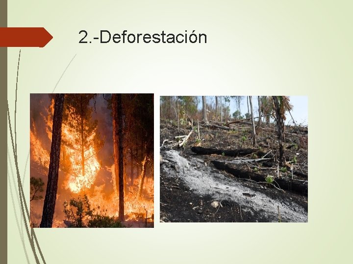 2. -Deforestación 