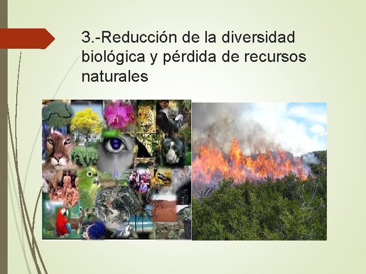3. -Reducción de la diversidad biológica y pérdida de recursos naturales 