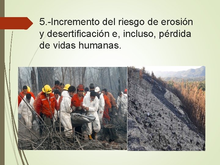 5. -Incremento del riesgo de erosión y desertificación e, incluso, pérdida de vidas humanas.