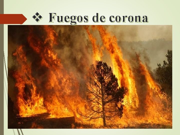 v Fuegos de corona 