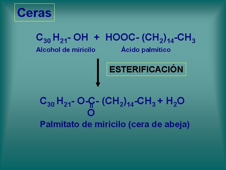 Ceras C 30 H 21 - OH + HOOC- (CH 2)14 -CH 3 Alcohol Ceras C 30 H 21 - OH + HOOC- (CH 2)14 -CH 3 Alcohol