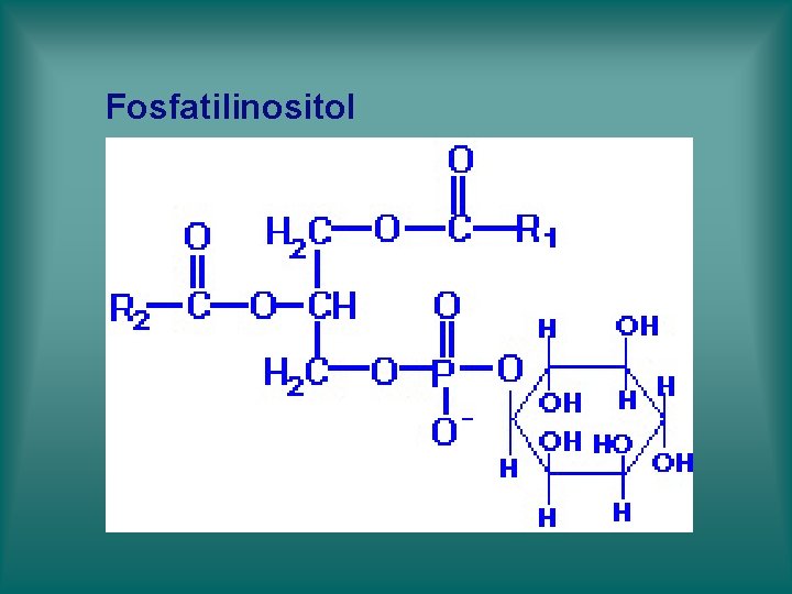 Fosfatilinositol Fosfatilinositol