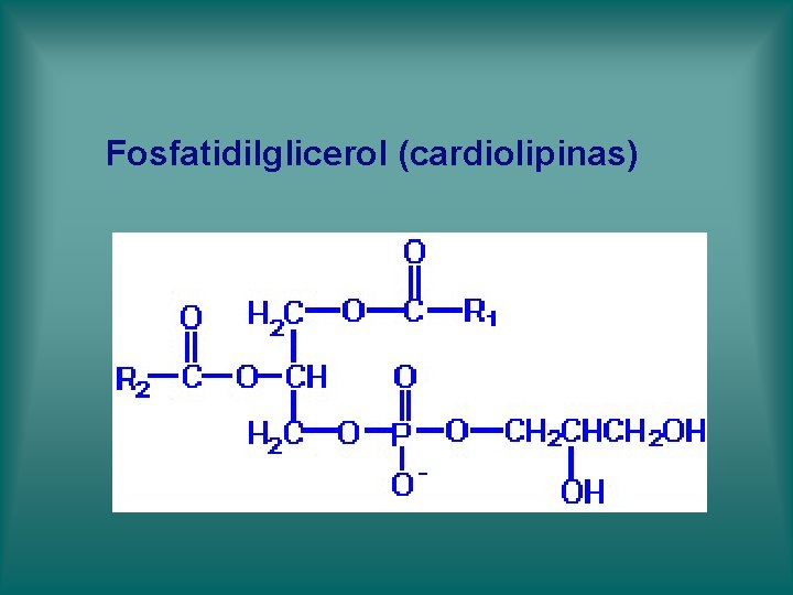 Fosfatidilglicerol (cardiolipinas) Fosfatidilglicerol (cardiolipinas)