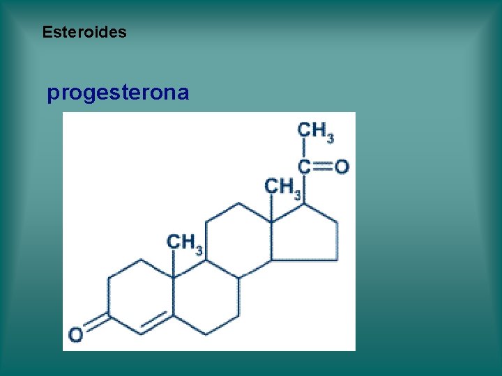 Esteroides progesterona Esteroides progesterona