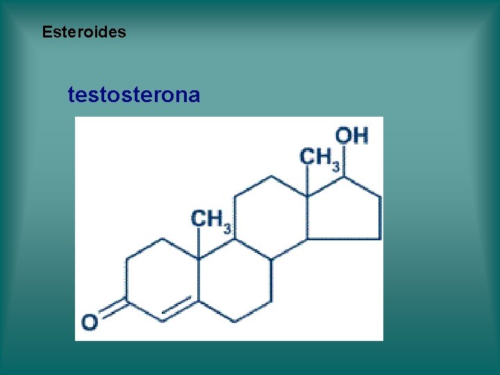 Esteroides testosterona Esteroides testosterona