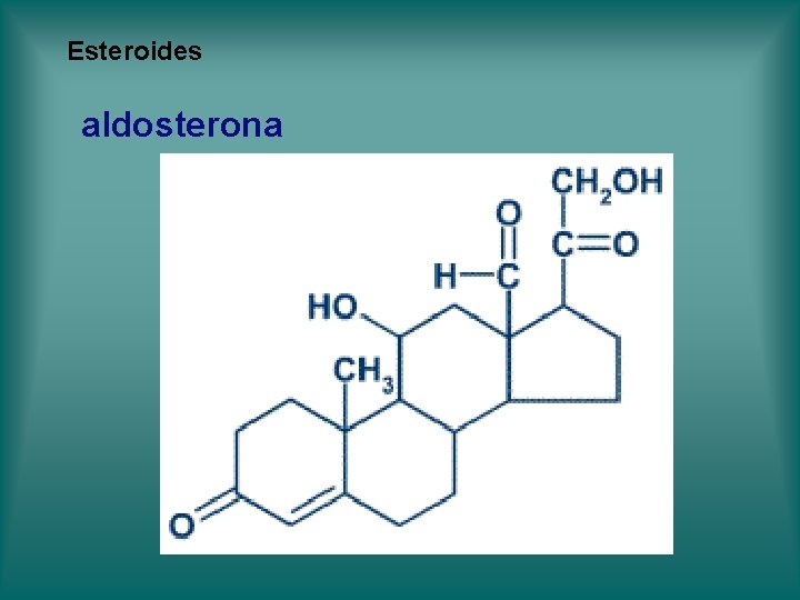 Esteroides aldosterona Esteroides aldosterona