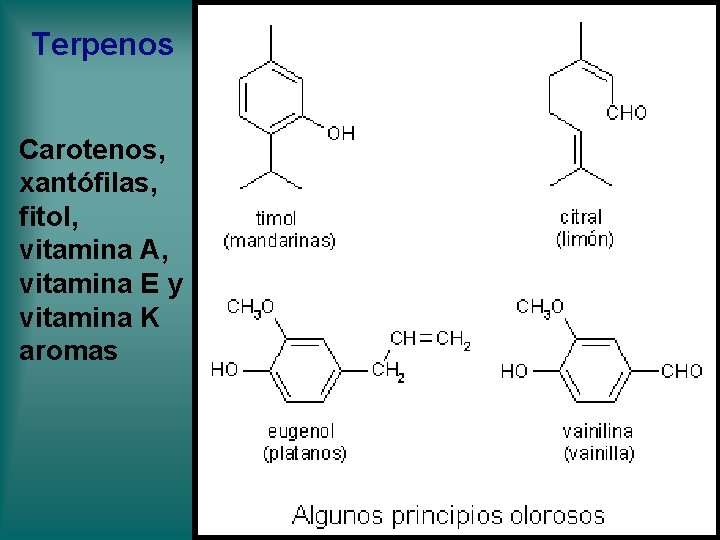 Terpenos Carotenos, xantófilas, fitol, vitamina A, vitamina E y vitamina K aromas Terpenos Carotenos, xantófilas, fitol, vitamina A, vitamina E y vitamina K aromas