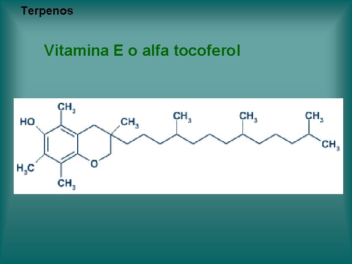 Terpenos Vitamina E o alfa tocoferol Terpenos Vitamina E o alfa tocoferol
