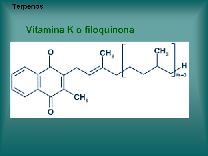 Terpenos Vitamina K o filoquinona Terpenos Vitamina K o filoquinona