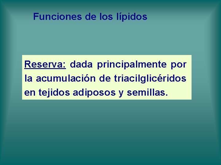 Funciones de los lípidos Reserva: dada principalmente por la acumulación de triacilglicéridos en tejidos Funciones de los lípidos Reserva: dada principalmente por la acumulación de triacilglicéridos en tejidos
