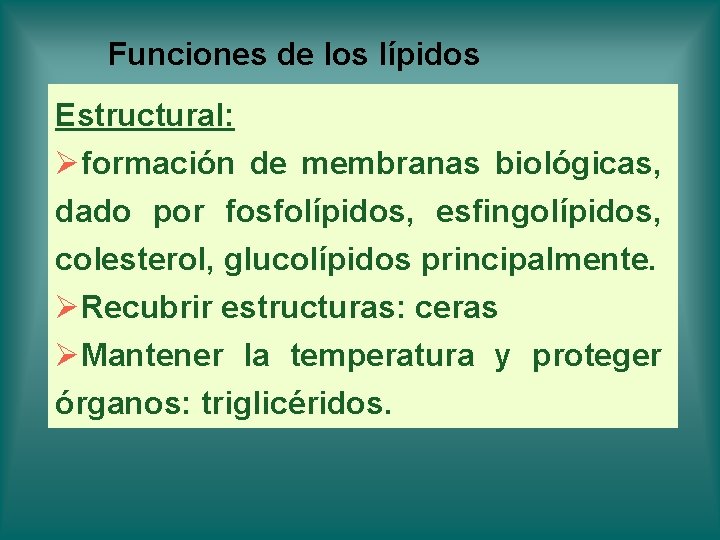 Funciones de los lípidos Estructural: Øformación de membranas biológicas, dado por fosfolípidos, esfingolípidos, colesterol, Funciones de los lípidos Estructural: Øformación de membranas biológicas, dado por fosfolípidos, esfingolípidos, colesterol,