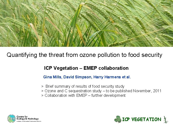 Quantifying the threat from ozone pollution to food security ICP Vegetation – EMEP collaboration