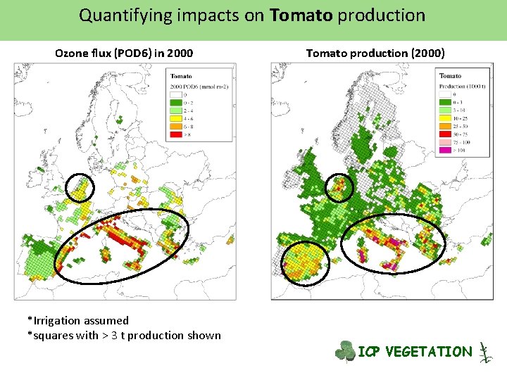 Quantifying impacts on Tomato production Ozone flux (POD 6) in 2000 *Irrigation assumed *squares
