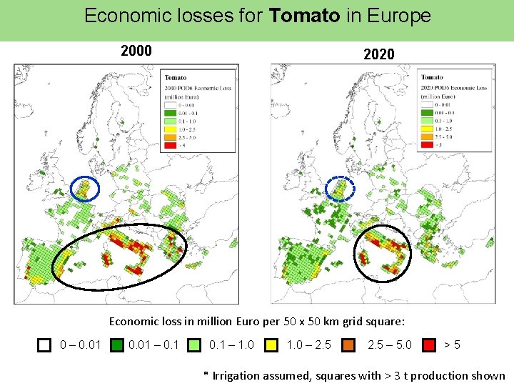 Economic losses for Tomato in Europe 2000 2020 Economic loss in million Euro per