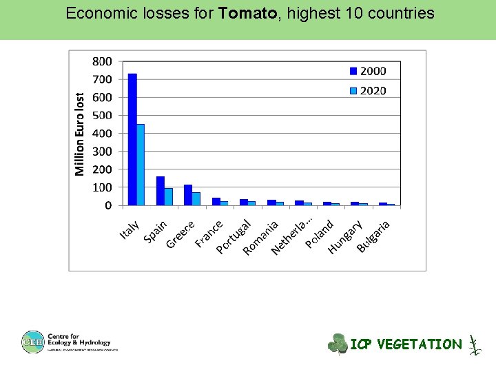 Economic losses for Tomato, highest 10 countries ICP VEGETATION 