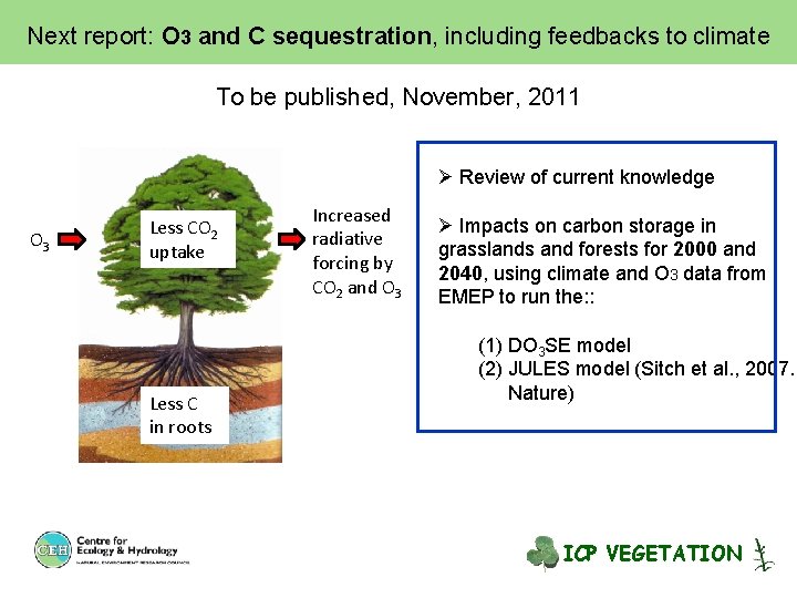 Next report: O 3 and C sequestration, including feedbacks to climate To be published,