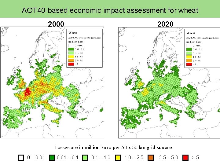 AOT 40 -based economic impact assessment for wheat 2000 2020 Losses are in million