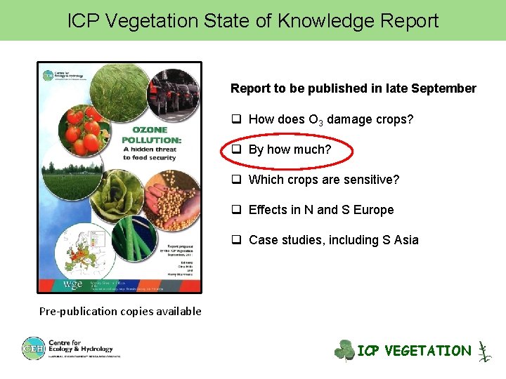 ICP Vegetation State of Knowledge Report to be published in late September q How