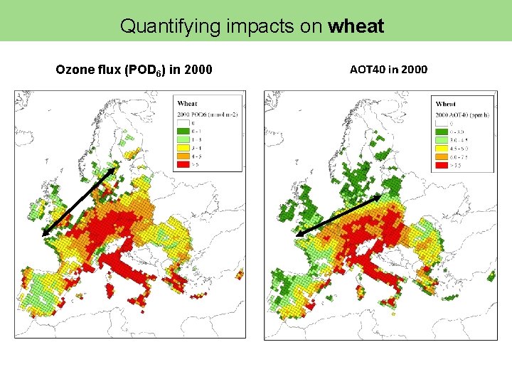Quantifying impacts on wheat Ozone flux (POD 6) in 2000 AOT 40 in 2000