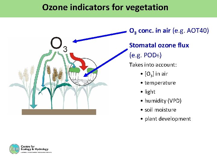Ozone indicators for vegetation O 3 conc. in air (e. g. AOT 40) Stomatal