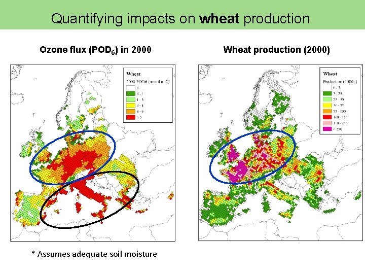 Quantifying impacts on wheat production Ozone flux (POD 6) in 2000 * Assumes adequate