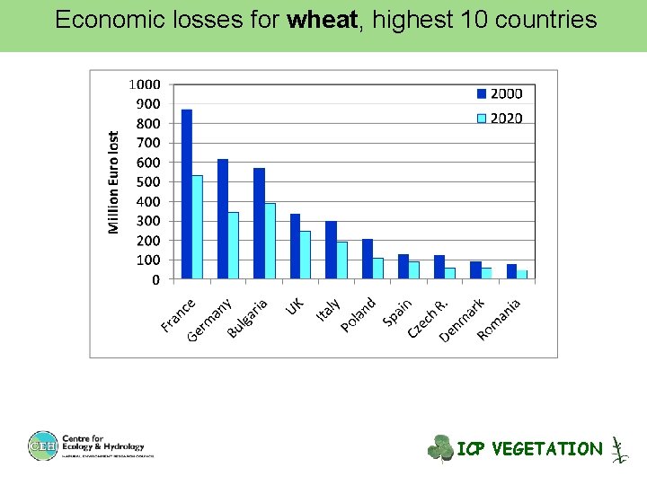 Economic losses for wheat, highest 10 countries ICP VEGETATION 