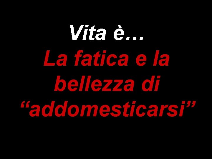 Vita è… La fatica e la bellezza di “addomesticarsi” 