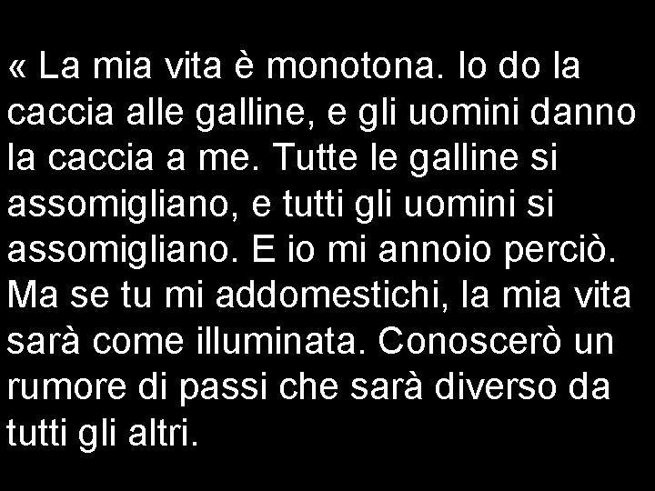  « La mia vita è monotona. Io do la caccia alle galline, e