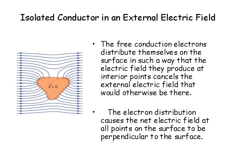 Isolated Conductor in an External Electric Field • The free conduction electrons distribute themselves