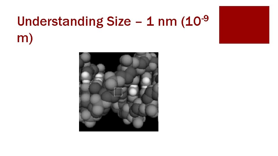 Understanding Size – 1 nm m) -9 (10 