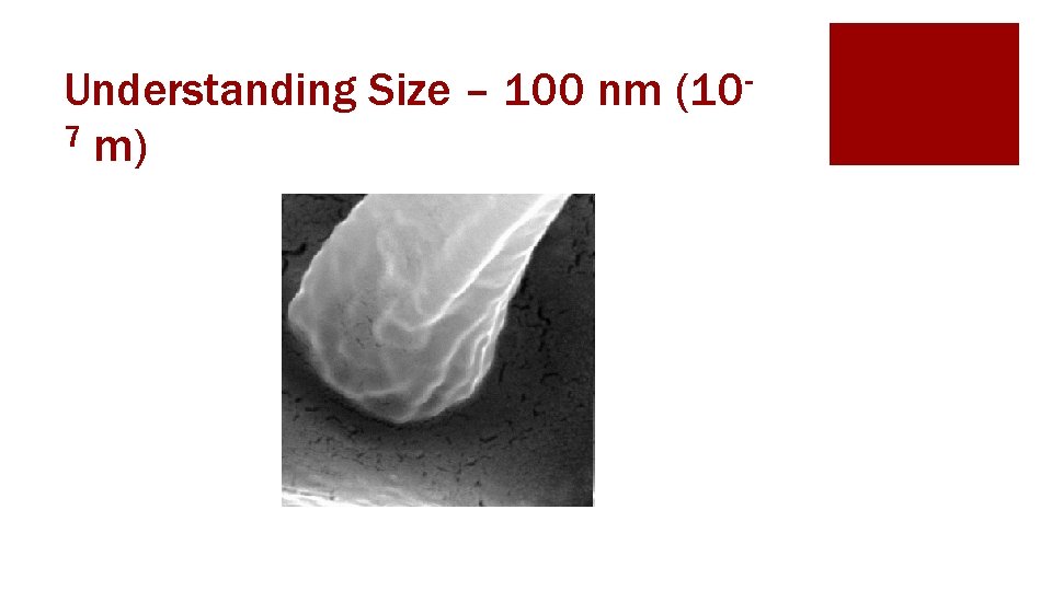 Understanding Size – 100 nm (107 m) 