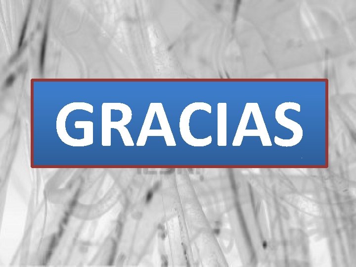 GRACIAS 