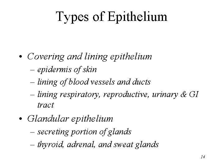 Types of Epithelium • Covering and lining epithelium – epidermis of skin – lining