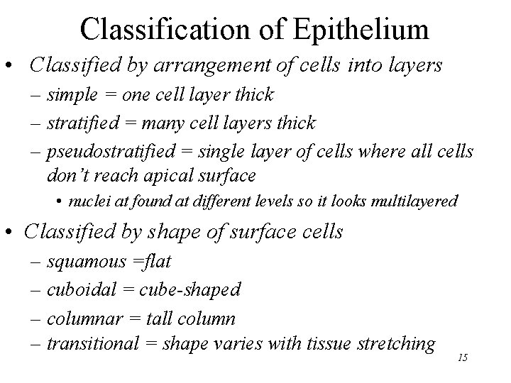 Classification of Epithelium • Classified by arrangement of cells into layers – simple =