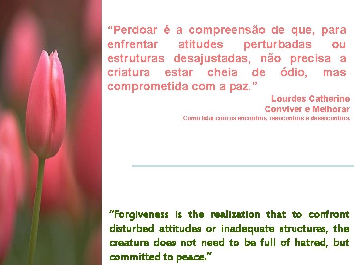 “Perdoar é a compreensão de que, para enfrentar atitudes perturbadas ou estruturas desajustadas, não