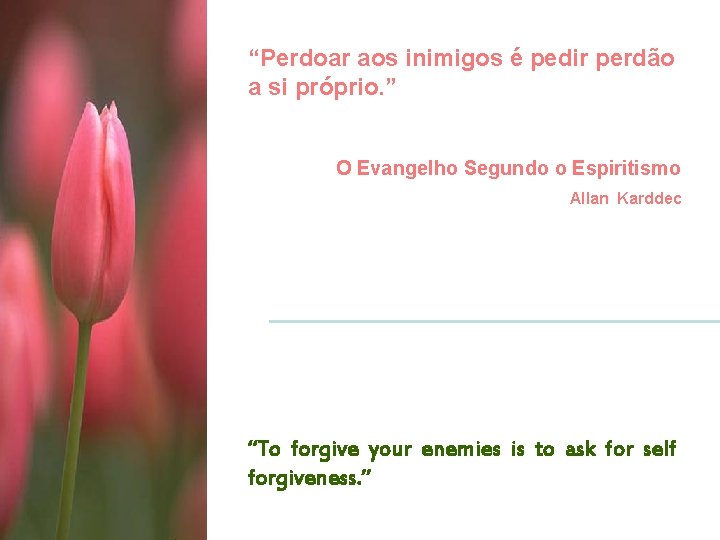“Perdoar aos inimigos é pedir perdão a si próprio. ” O Evangelho Segundo o