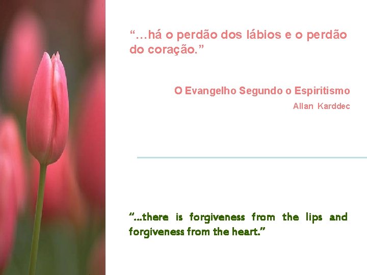 “…há o perdão dos lábios e o perdão do coração. ” O Evangelho Segundo