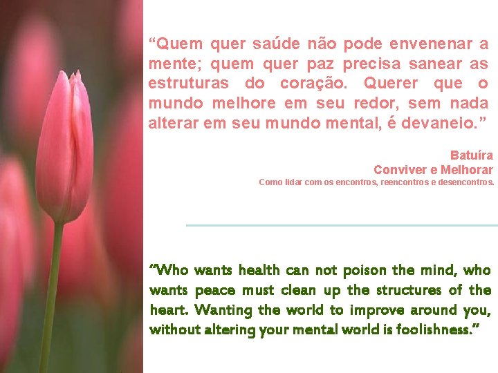 “Quem quer saúde não pode envenenar a mente; quem quer paz precisa sanear as