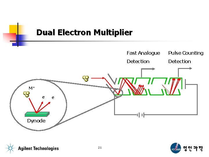 Dual Electron Multiplier M+ e e Dynode 21 Fast Analogue Pulse Counting Detection 