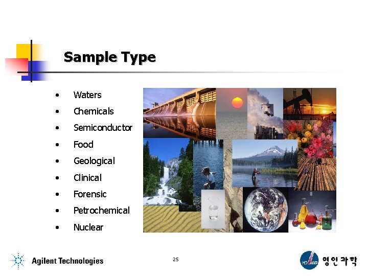 Sample Type • Waters • Chemicals • Semiconductor • Food • Geological • Clinical