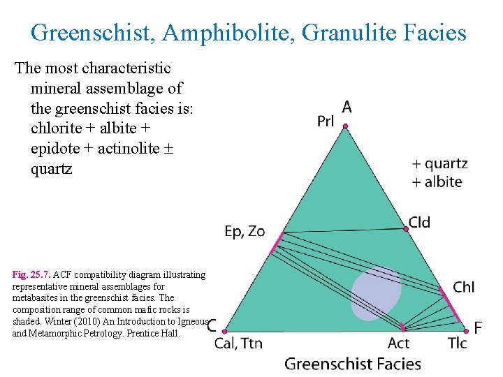 Greenschist, Amphibolite, Granulite Facies The most characteristic mineral assemblage of the greenschist facies is: