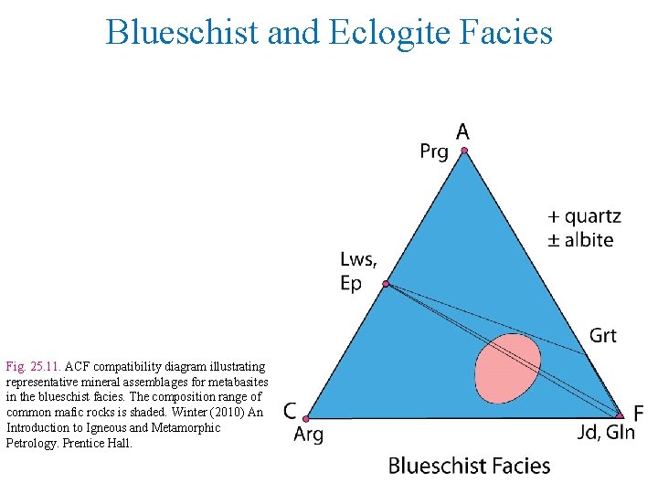 Blueschist and Eclogite Facies Fig. 25. 11. ACF compatibility diagram illustrating representative mineral assemblages