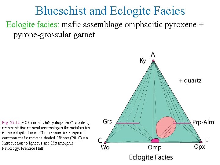 Blueschist and Eclogite Facies Eclogite facies: mafic assemblage omphacitic pyroxene + pyrope-grossular garnet Fig.