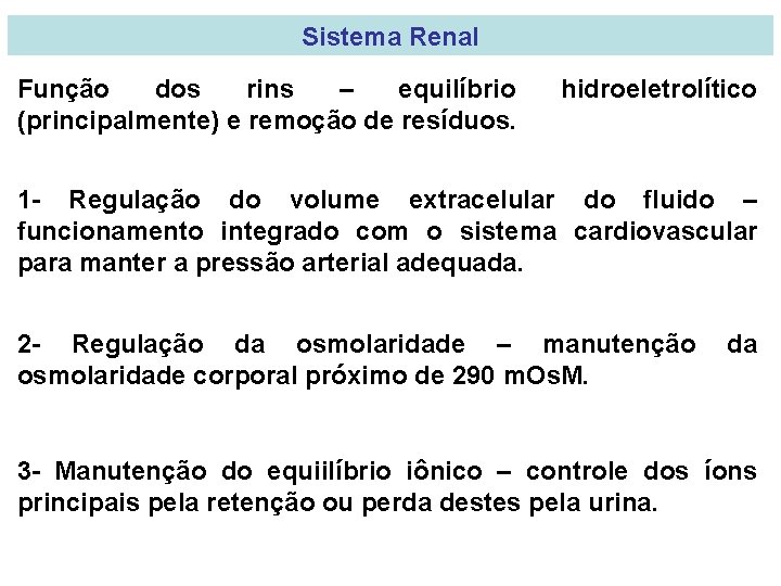 Sistema Renal Função dos rins – equilíbrio (principalmente) e remoção de resíduos. hidroeletrolítico 1