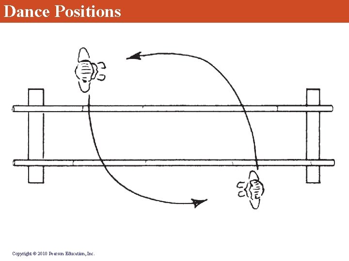 Dance Positions Copyright © 2010 Pearson Education, Inc. Dance Positions Copyright © 2010 Pearson Education, Inc.