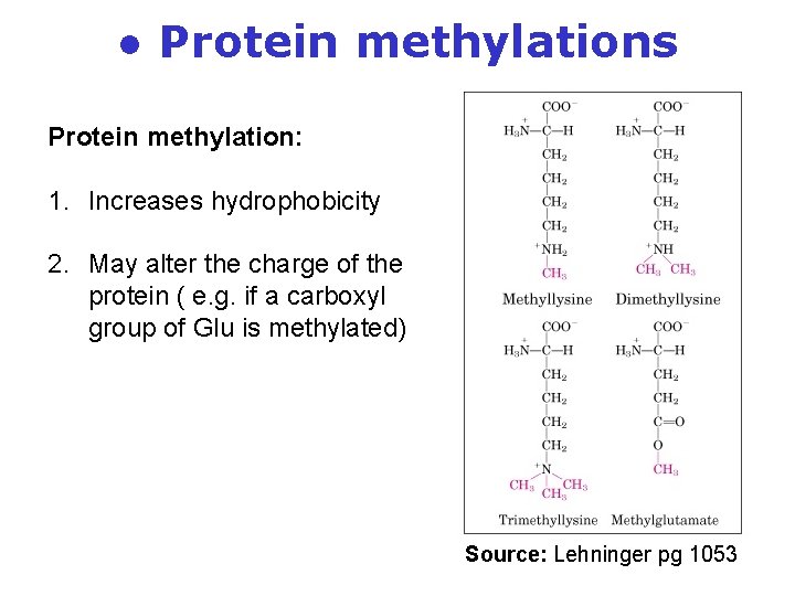 ● Protein methylations Protein methylation: 1. Increases hydrophobicity 2. May alter the charge of ● Protein methylations Protein methylation: 1. Increases hydrophobicity 2. May alter the charge of