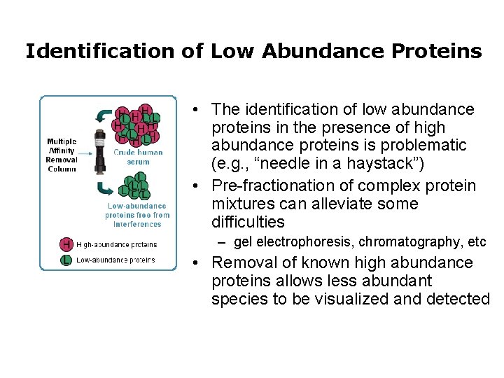 Identification of Low Abundance Proteins • The identification of low abundance proteins in the Identification of Low Abundance Proteins • The identification of low abundance proteins in the