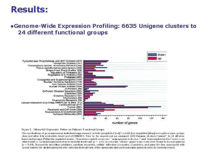 Results: ●Genome-Wide Expression Profiling: 6635 Unigene clusters to 24 different functional groups Results: ●Genome-Wide Expression Profiling: 6635 Unigene clusters to 24 different functional groups